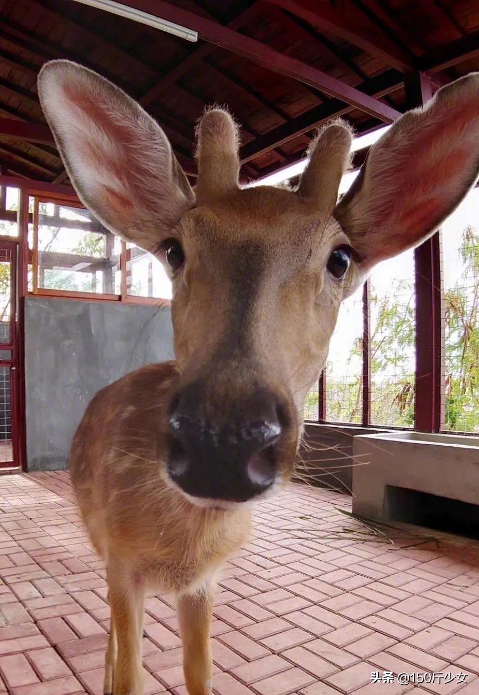 想念三亚的阳光和沙滩海浪,三亚期盼已久的大海