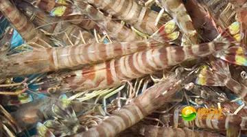 舟山海鲜攻略2天1晚住宿自由行,舟山最好的海鲜