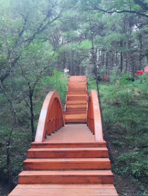 今起东北虎园大门票半价!近百种珍稀动物,带你走进现实版动物世界!