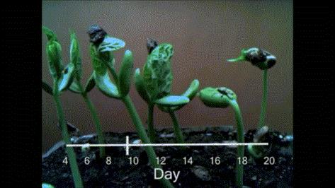 河之洲105丨一本日历为何变成一本书？（要看文末哦）