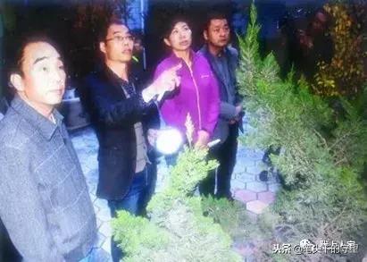 李氏文化作品,拓片属于国学吗