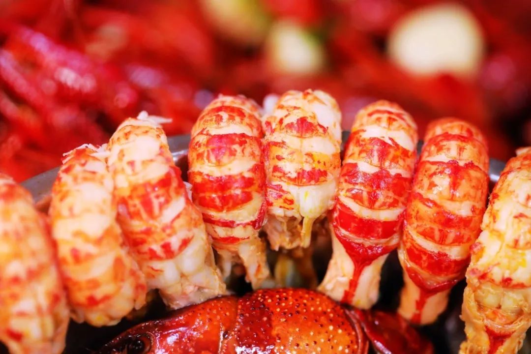 森氧之地，秋游必选！金湖万亩水上森林，真的别有趣味