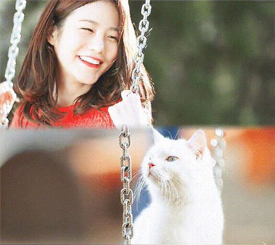 白猫“化身”*男美**子,与主人甜蜜同居,猫咪治愈剧《快过来》真甜