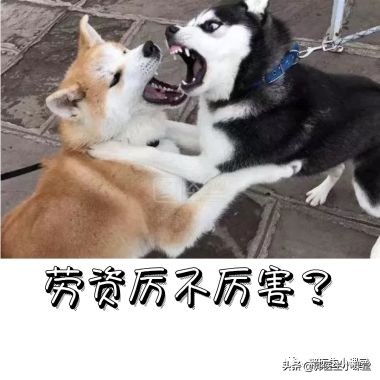 喝凉水吃雪糕对身体的害处,吃冰淇淋喝冷饮月经提前