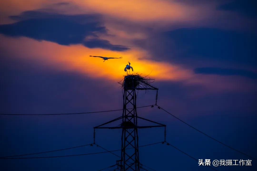 第16届国际摄影艺术展获奖作品,第29届全国摄影艺术展览作品集