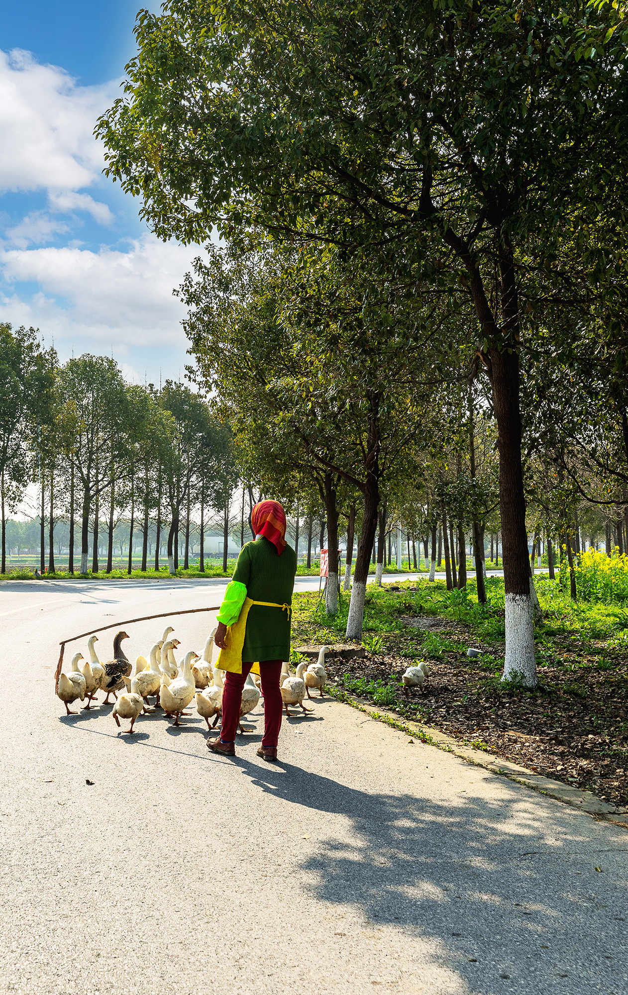 刚好我也喜欢你暮回全文阅读,刚好我也喜欢你小说完整版