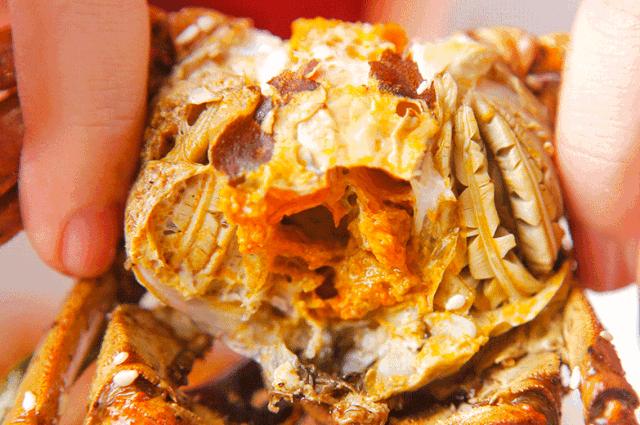 最近的死螃蟹可以吃吗,螃蟹刚死能吃吗详解螃蟹食用禁忌