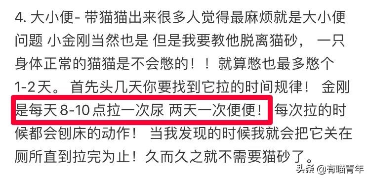 网红绑猫*藏西**骑行求关注,遭网友质疑回怼:比在家里刺激多了