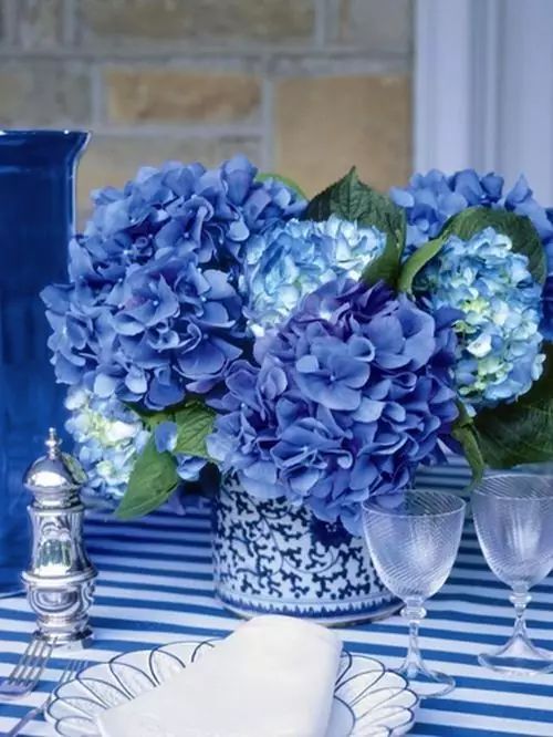 教你怎么学插花,小白零基础怎么学插花