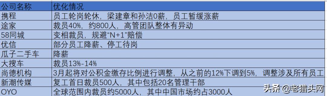 职场摆渡人lily,职场摆渡猎头
