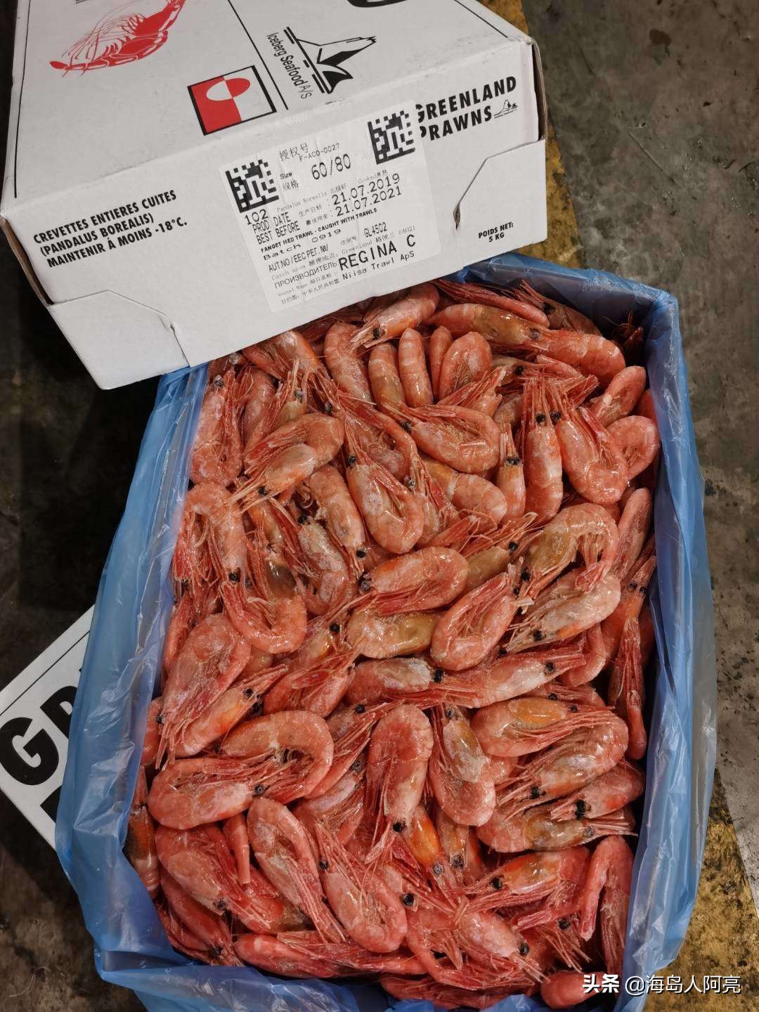 北极的那些哭笑不得的事,北极虾科普知识