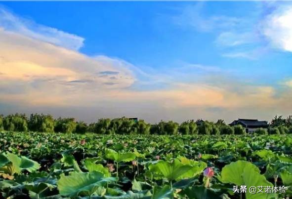 安徽旅行必去的10大景点,安徽旅行攻略必去十大景点