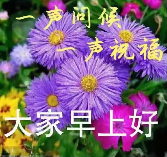 适合发朋友圈早安的唯美图片,暖心早安祝福唯美图片带字