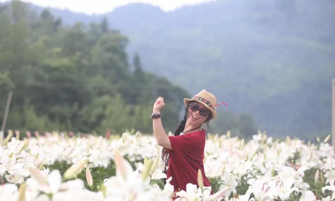 农村小伙回家创业种葡萄,农村小伙回家创业种甘蔗