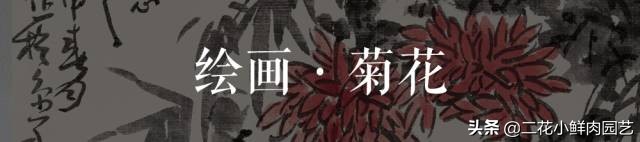 100种花卉绘画,100多张花卉线描手稿素材赶快收藏