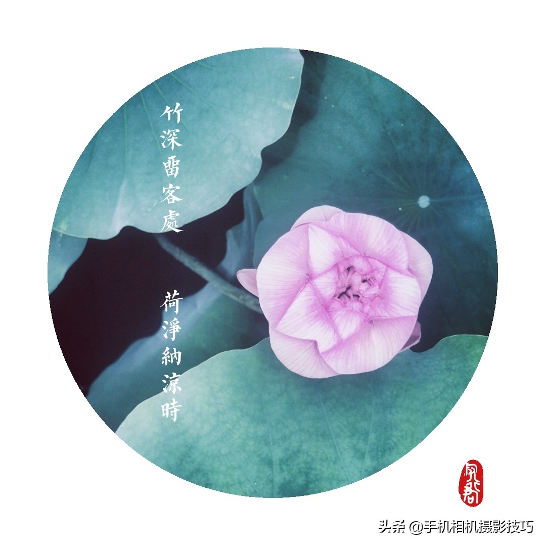 照片加水印哪个软件不丢画质,手机app照片一键加水印