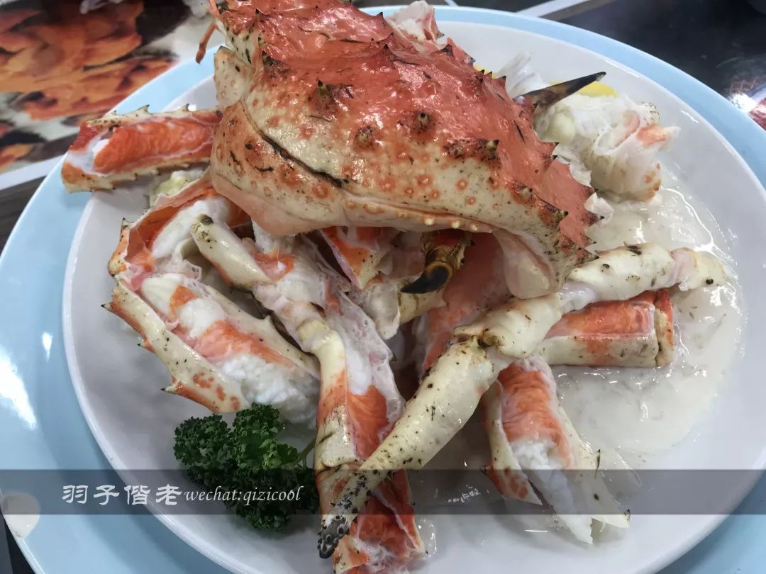 不会日语日本自由行好吗,不会日语的北海道自由行攻略