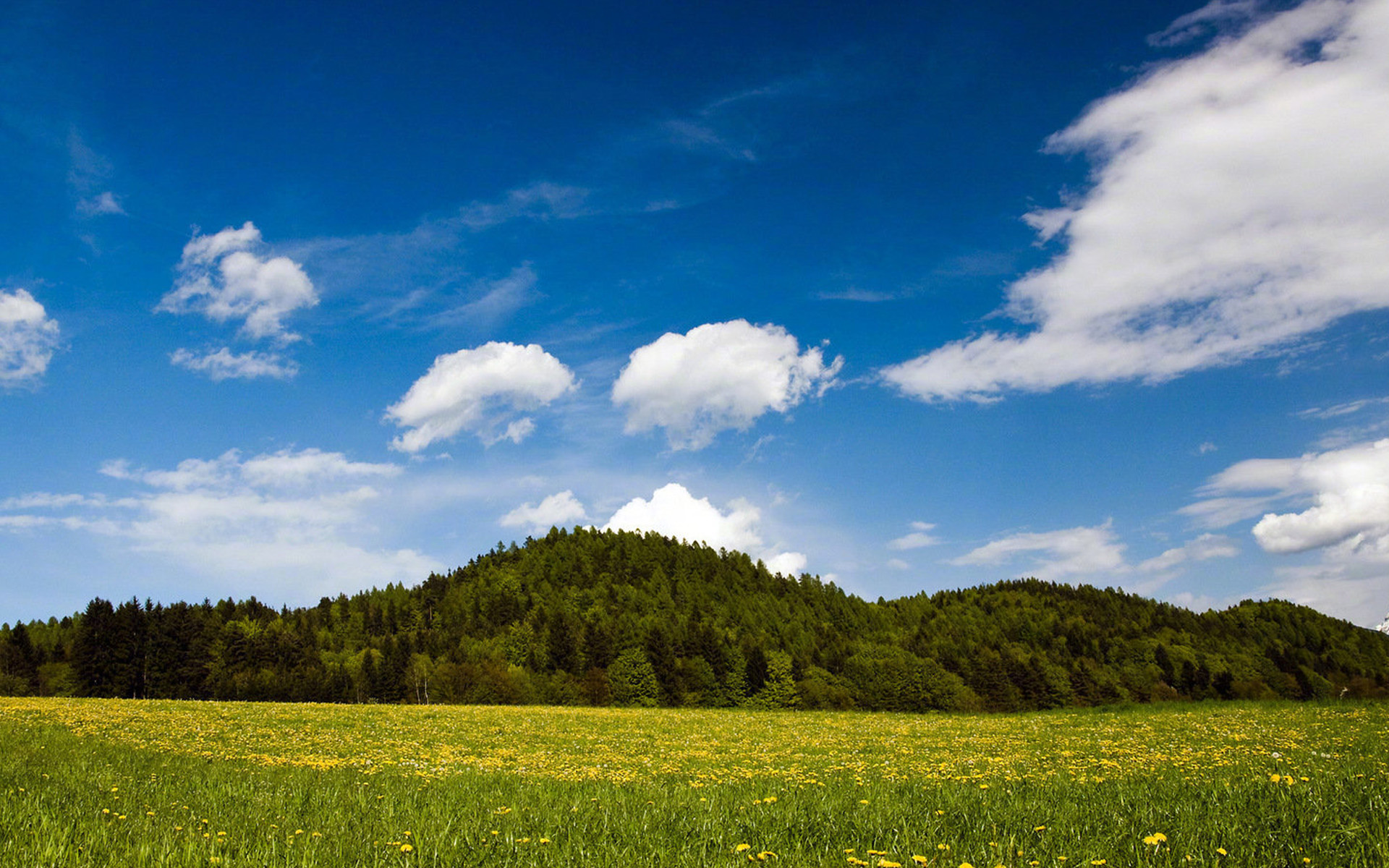 心理学丨太害怕死亡？这么做，可以让你坦然面对它