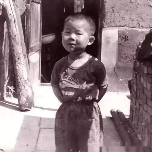 岳云鹏不加王菲好友,王菲加岳云鹏好友