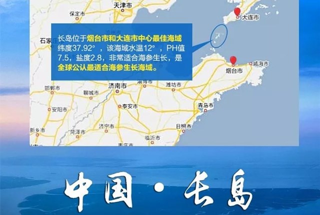 长岛海参和大连海参哪种海参好,长岛海参和大连海参有什么区别