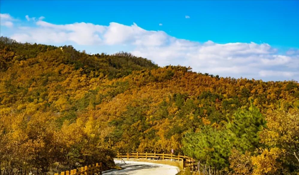 烟台葡萄酒城游览,烟台山海仙境旅游攻略