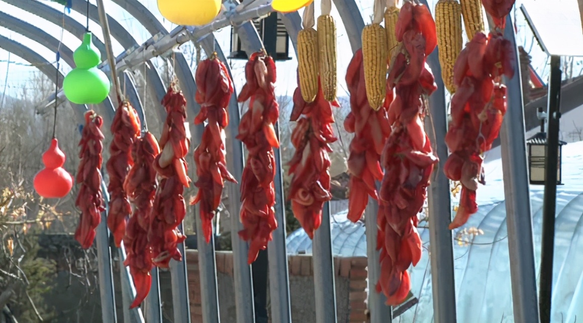 《创业赤峰》尹晓利：打工妹的人生逆袭