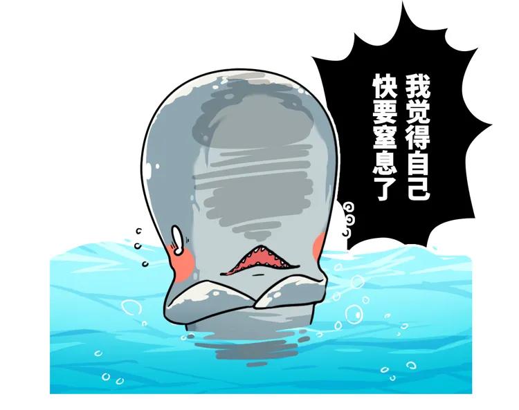 为什么要捕杀鲸鱼?日本人:不是为了吃,这是传统文化