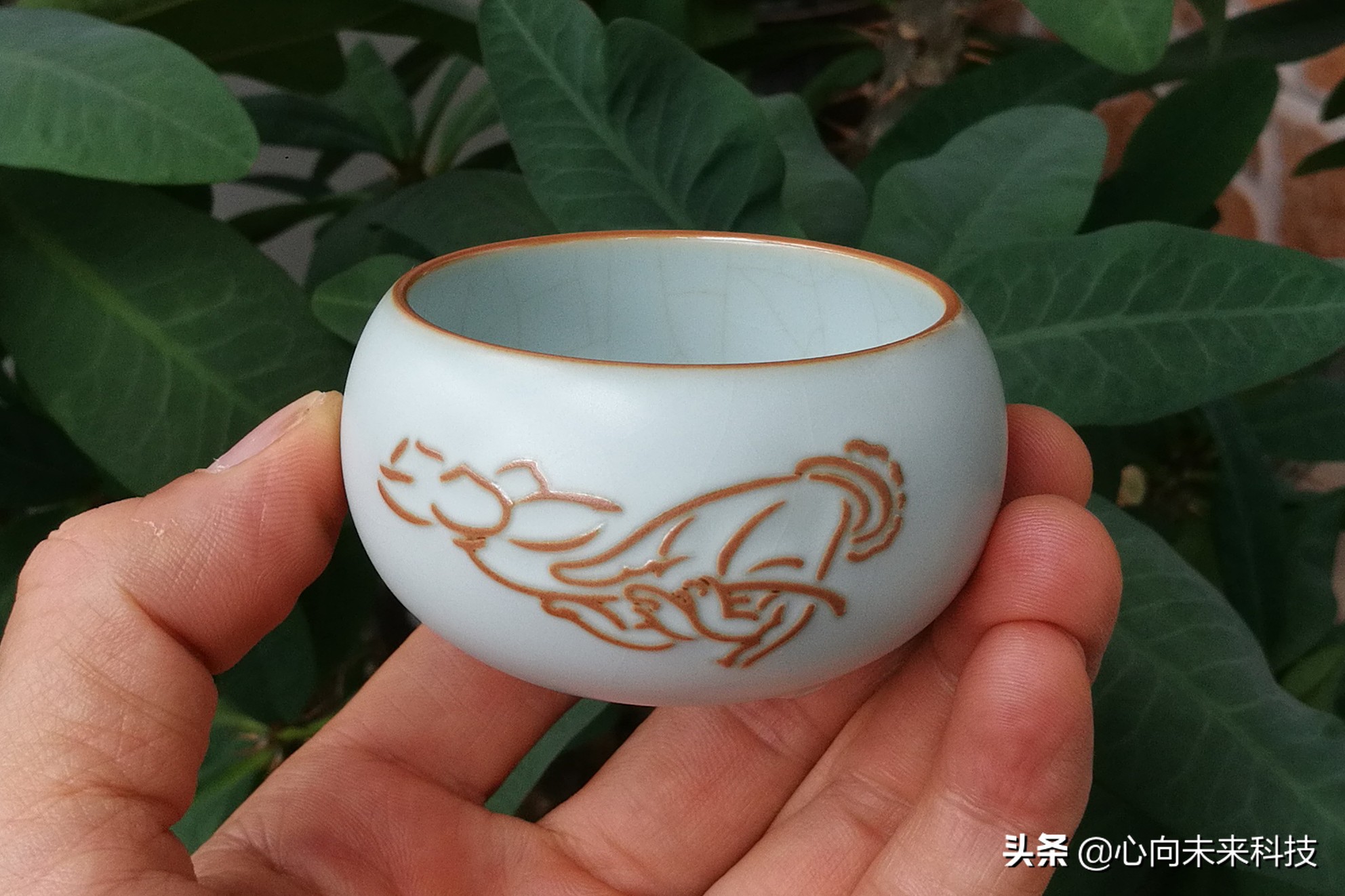 汝瓷新手入坑,汝瓷个人喝茶最实用的茶具