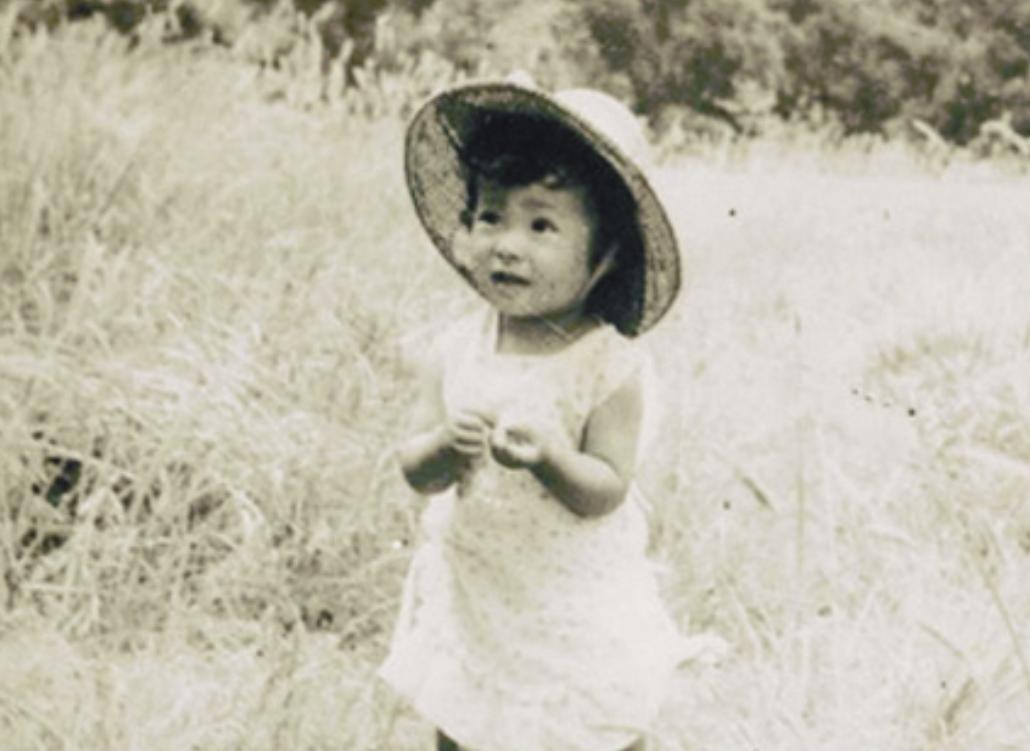 张静初陶虹回应吃素被骂惨,张静初这些年都经历了些什么