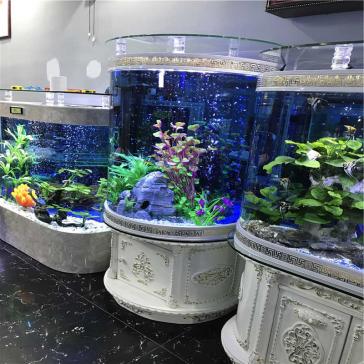 不会挑水族箱？蓝匠LANJOY告诉您