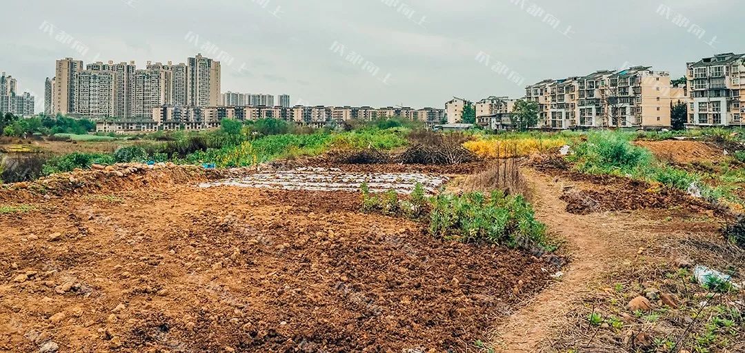 城北198:好与坏都让人“惊叹”