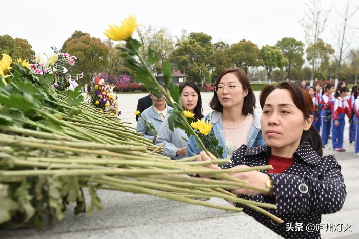 育英学校合肥,合肥市思政微课堂