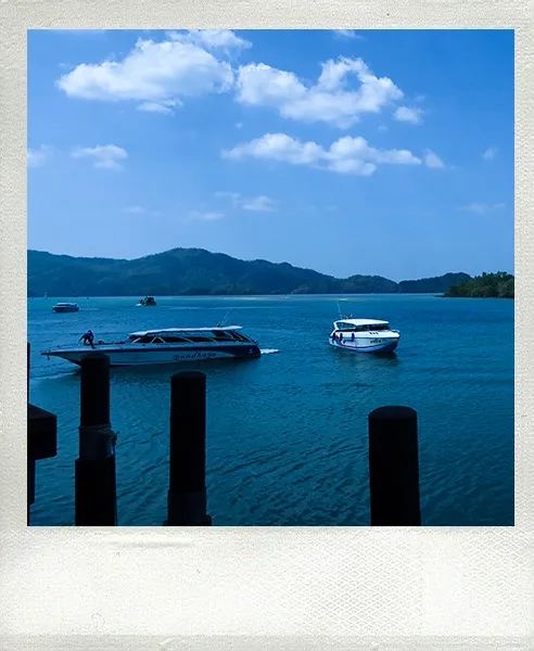 恋恋丽贝岛，人狗情未了|KohLipe