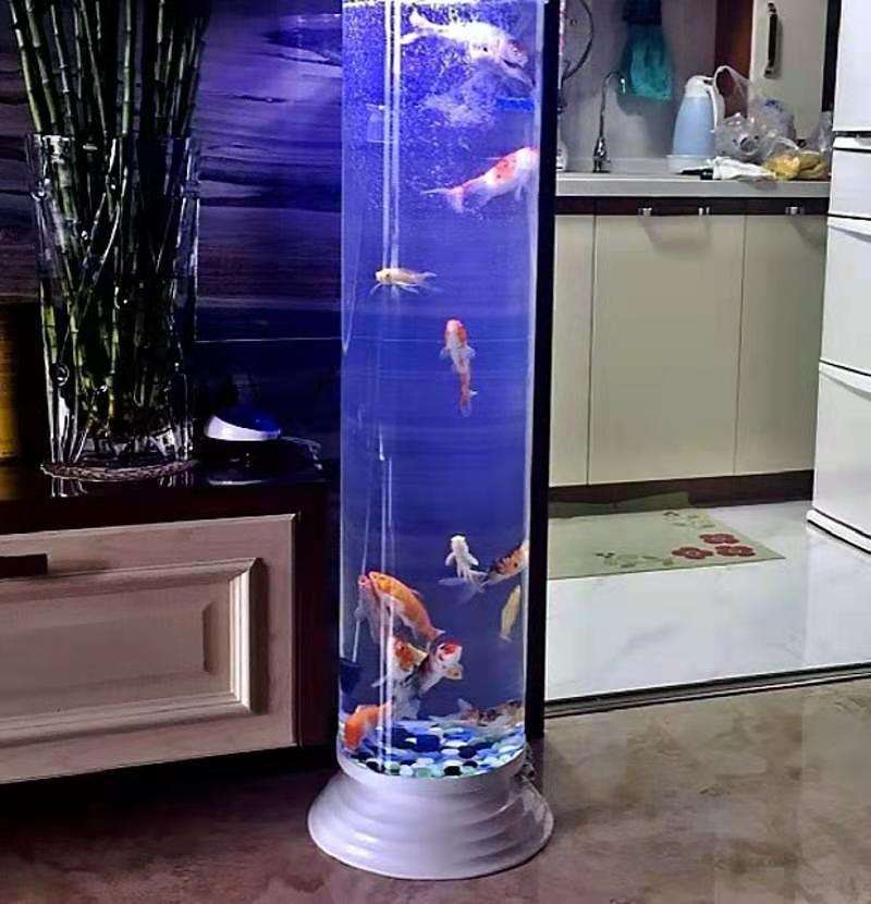 鱼缸水位高了不出氧怎么办,鱼缸没养好水鱼就到了咋办