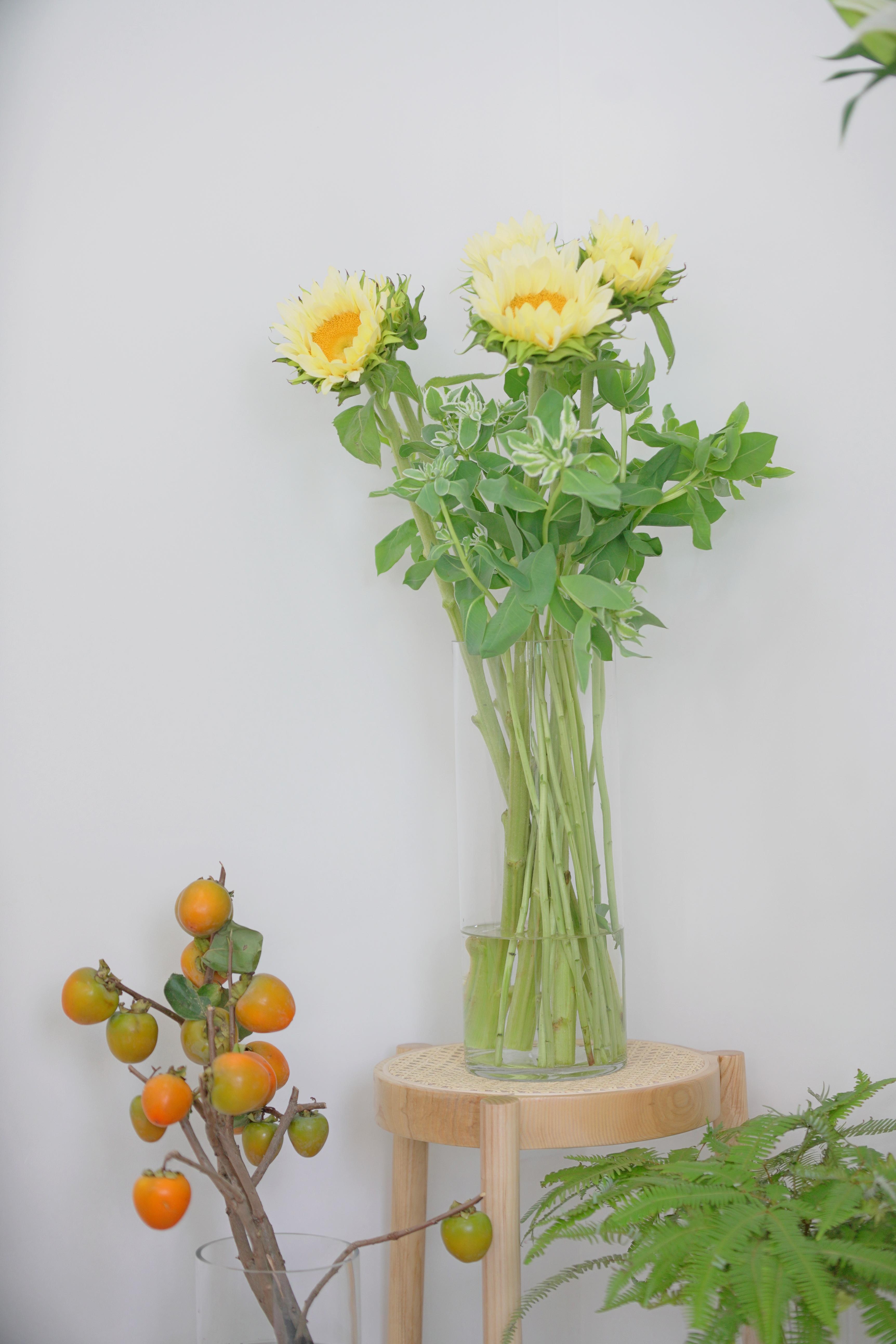 花店网红深圳,深圳网红花店仪式感