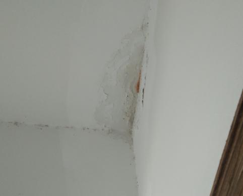 屋面防水漏水怎么补救,屋面漏水防水施工工艺