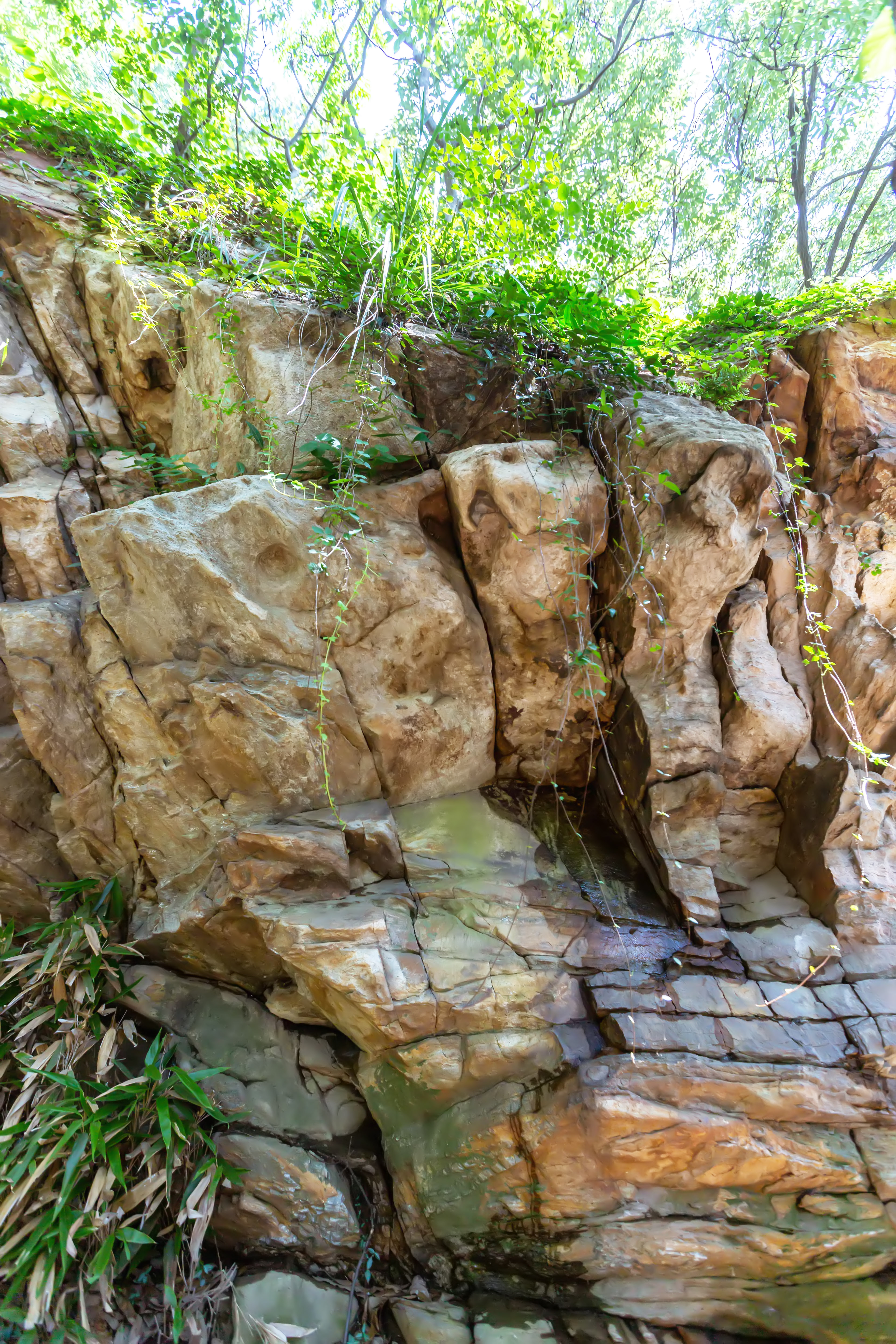 花果山景区的游玩攻略,情侣花果山旅游攻略
