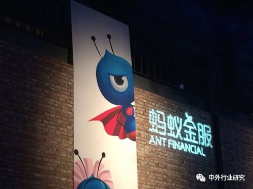 蚂蚁金服基金风险评估,蚂蚁金服的信用评估和风险