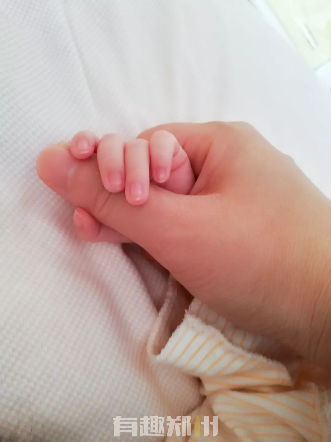 有趣翻包记|郑州这三位少女般的辣妈，包里装的都是啥？