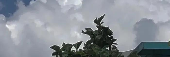 后浪奔涌不负韶华,后浪奔涌不负韶华视频