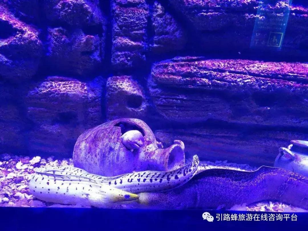 鼓浪屿，这是一篇不能错过的攻略