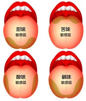 为什么冬天舔铁舌头会粘住,冬天舔铁栏杆为什么粘舌头