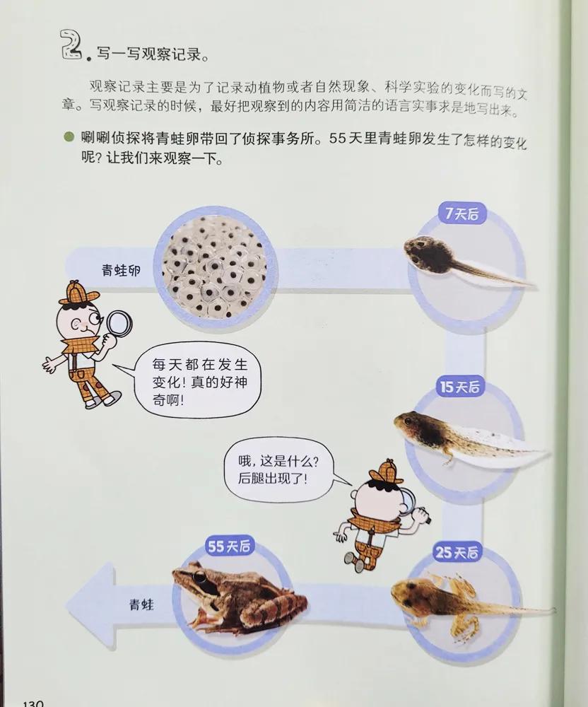 培养孩子逻辑思维能力的故事,培养孩子逻辑推理能力的书