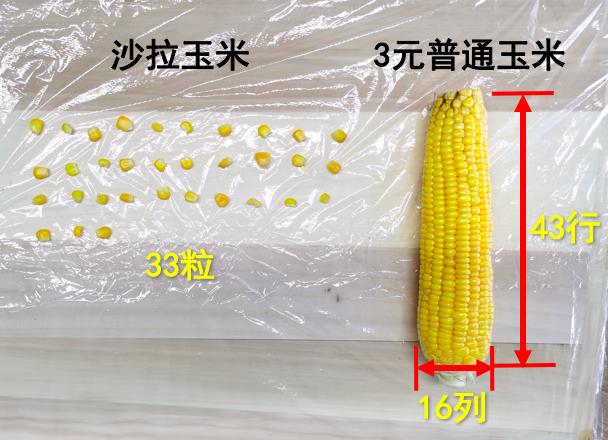 吃一周蔬菜沙拉能瘦几斤,连吃五天苹果能瘦多少斤
