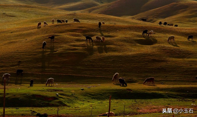 喀拉峻大草原近期实拍,探秘新疆