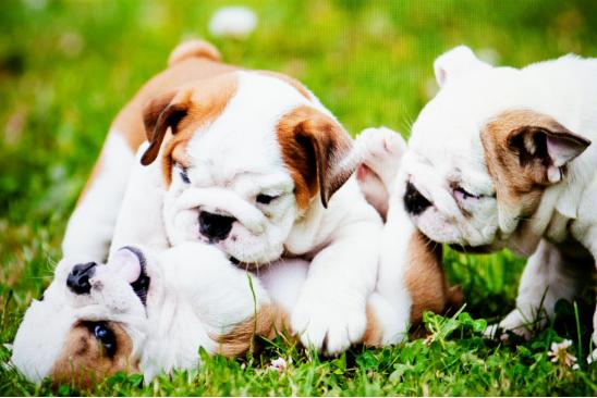 明基ew2780q显示器操作说明,明基ew2780q办公