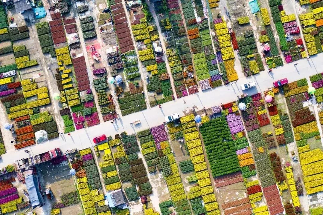 广州芳村现在的样子,广州芳村会消失吗