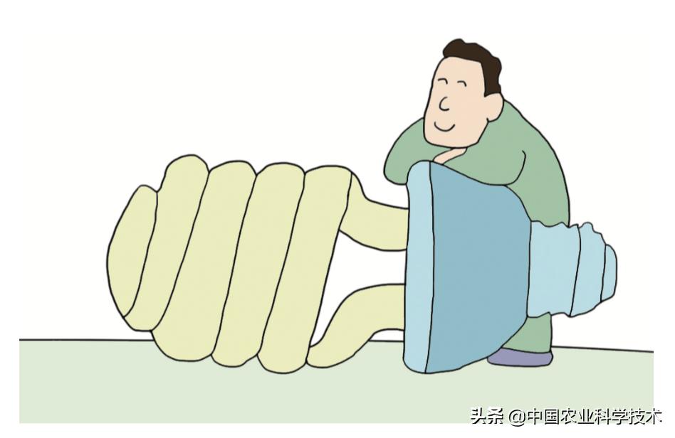 低碳生活的做法和方式,小学生低碳生活有哪些方式