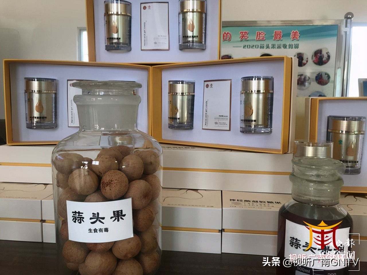 蒜头果中提取神经酸成文山广南村民“致富树”