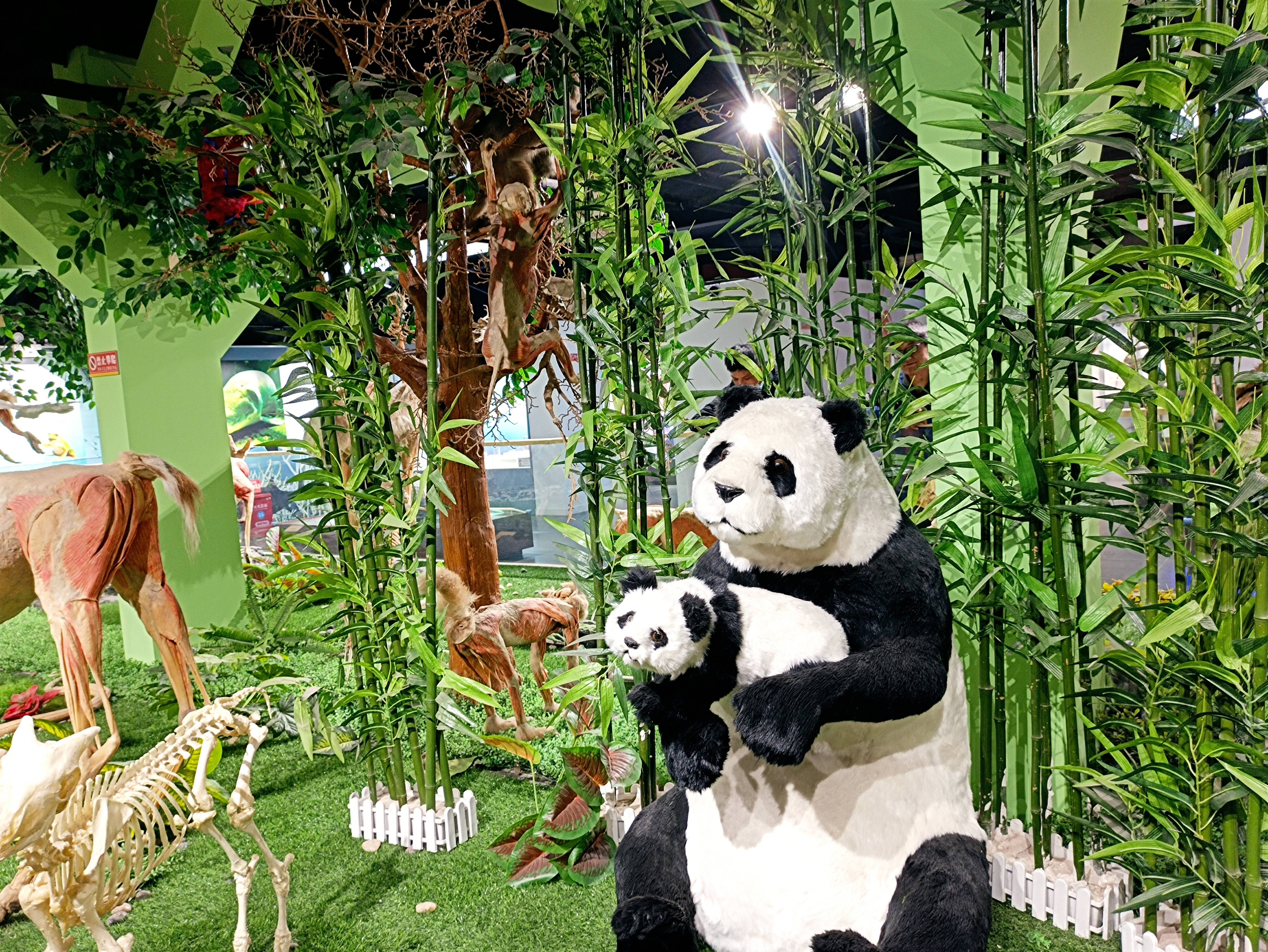 郑州出发黄河沿线自驾游最佳路线,郑州黄河自驾游攻略路线